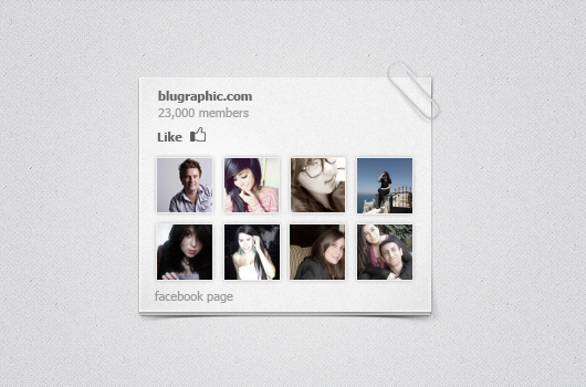 Custom Facebook Like Box (Psd)