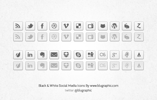 Black & White Social Network Buttons (Psd)