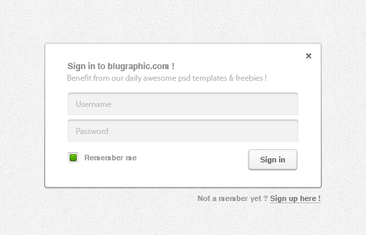 Sign in Form (Psd)