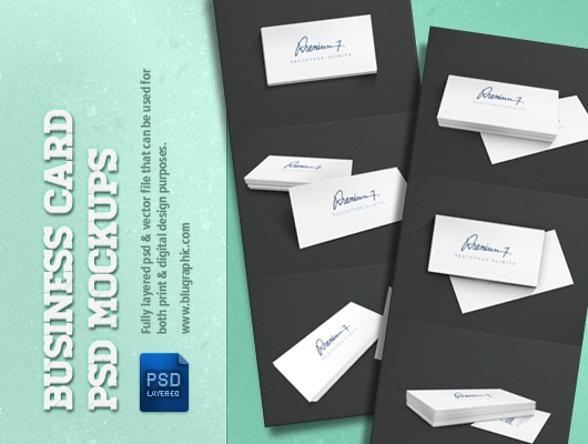 6 Business Card Template Presentations (Psd)