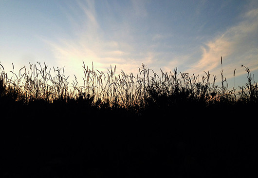 Landscape Silhouette Photo