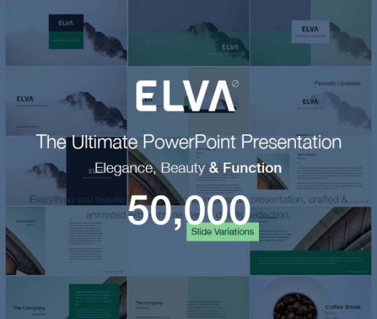Premium PowerPoint Presentation Template