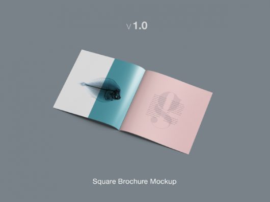 Square Brochure Mockup Template