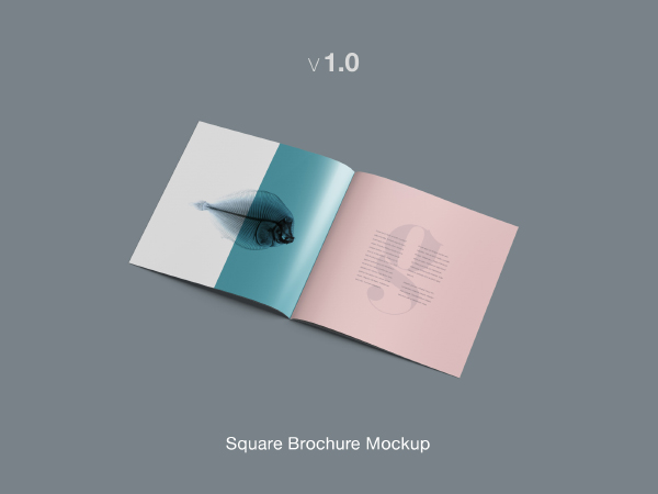 Square Brochure Mockup