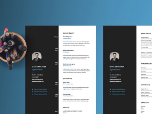 Classical Resume template download Classical Resume template download