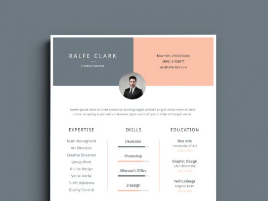Clean Resume Template Free Download Clean Resume Template Free Download