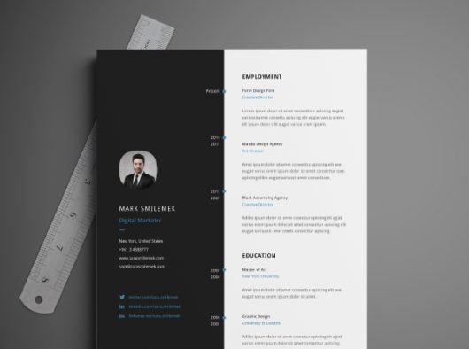 Free Download Resume Template Free Download Resume Template