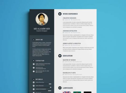 Organize Cv / Resume Template