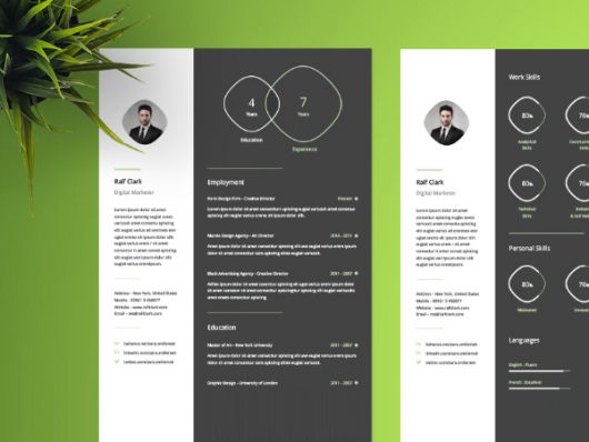 Free Modern Resume Template Free Modern Resume Template