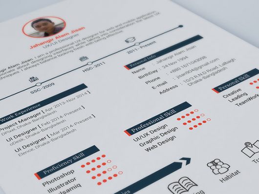 Print Ready Resume Template