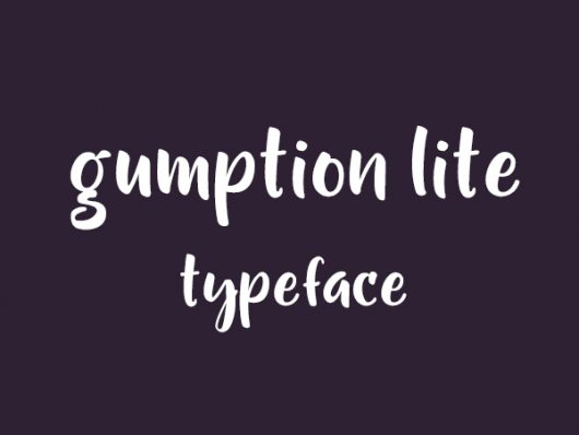 Gumption Lite Font Gumption Lite Font