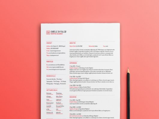 Free Professional Resume Template Free Professional Resume Template