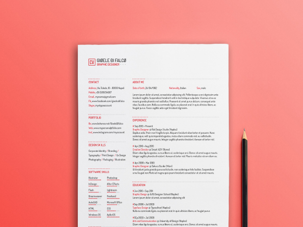 Professional Resume Template