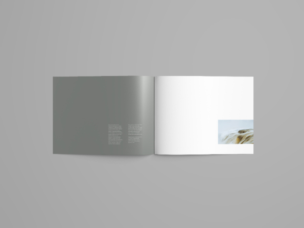 horizontal brochure mockup