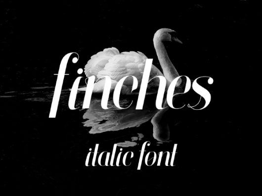 Finches Pro Free Typeface