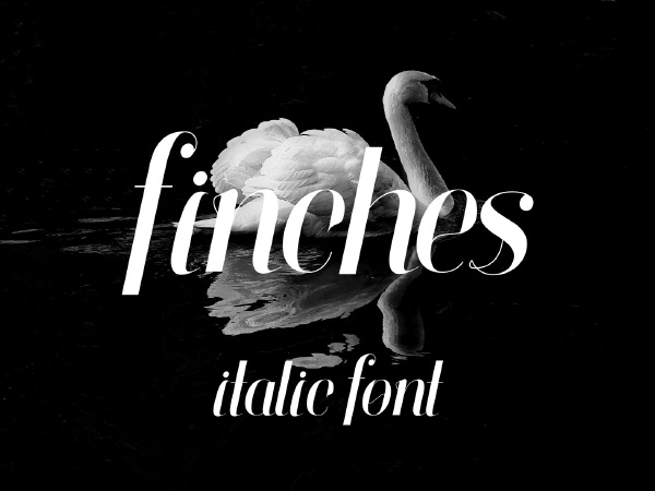 Finches Free Typeface