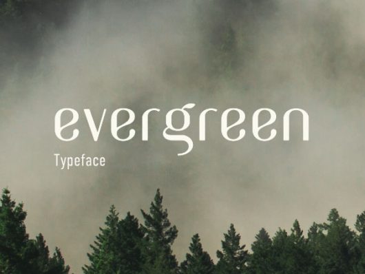 Evergreen Font Free Download