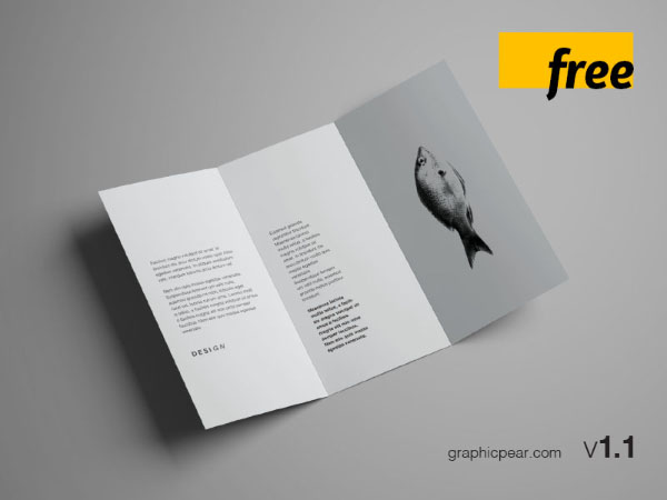 trifold brochure mockup