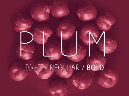 Plum Font Plum Font
