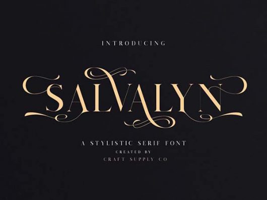 Salvalyn Serif Font Salvalyn Serif Font