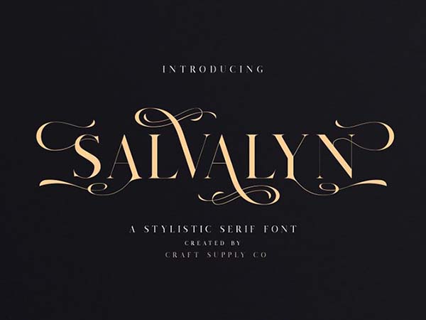 salvalyn serif font