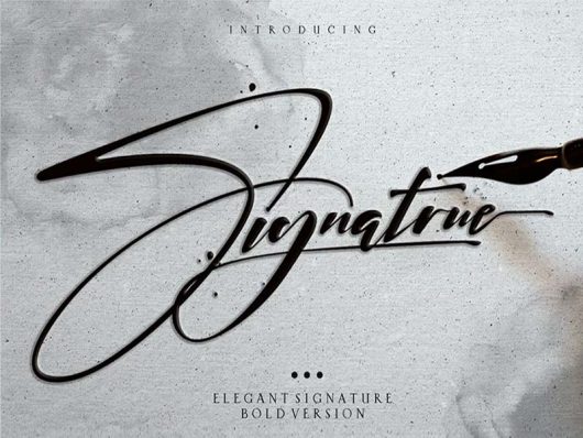 Signature Elegant Font Signature Elegant Font