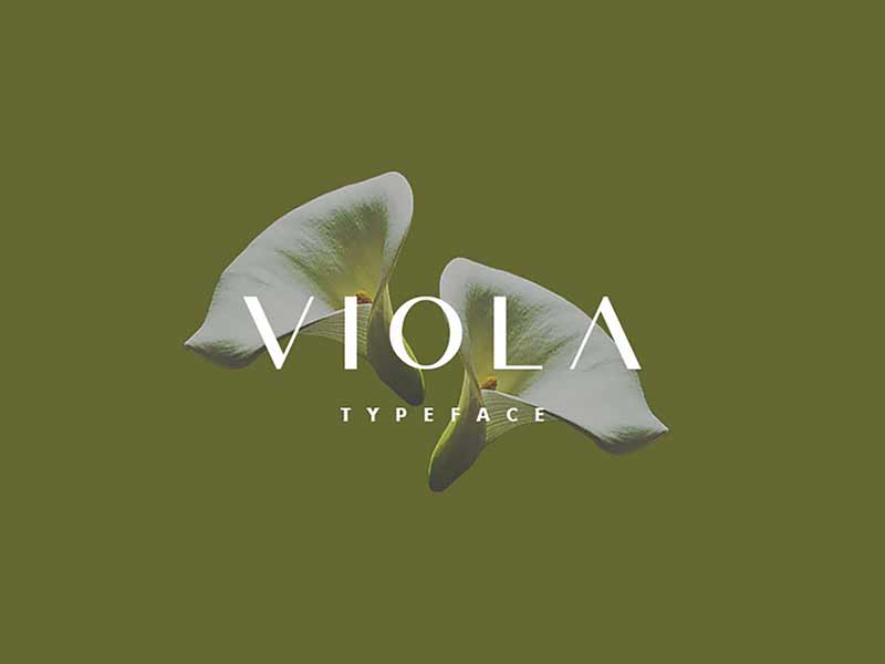 Viola free sans serif font