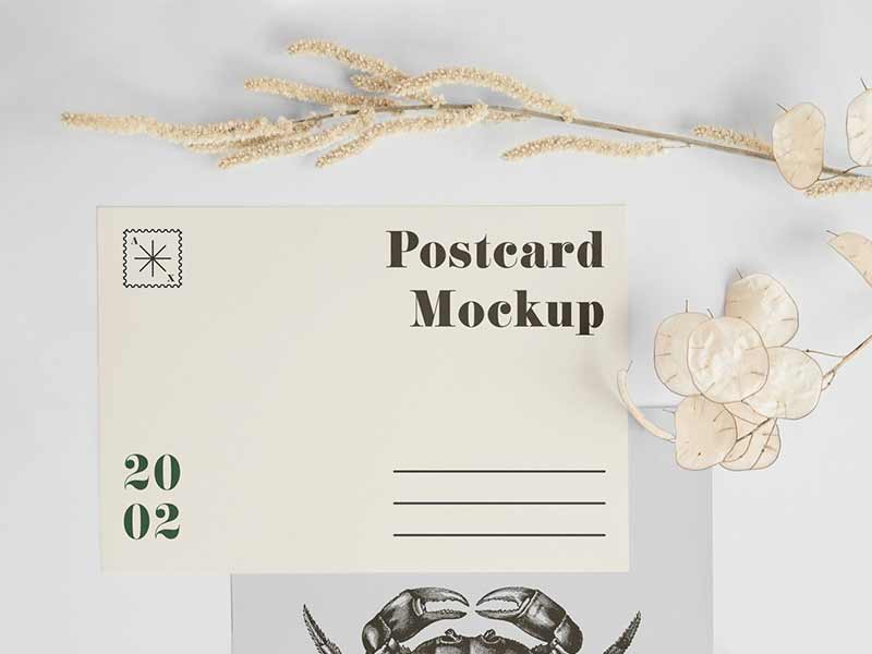 a5 postcard with envelope free mockup
