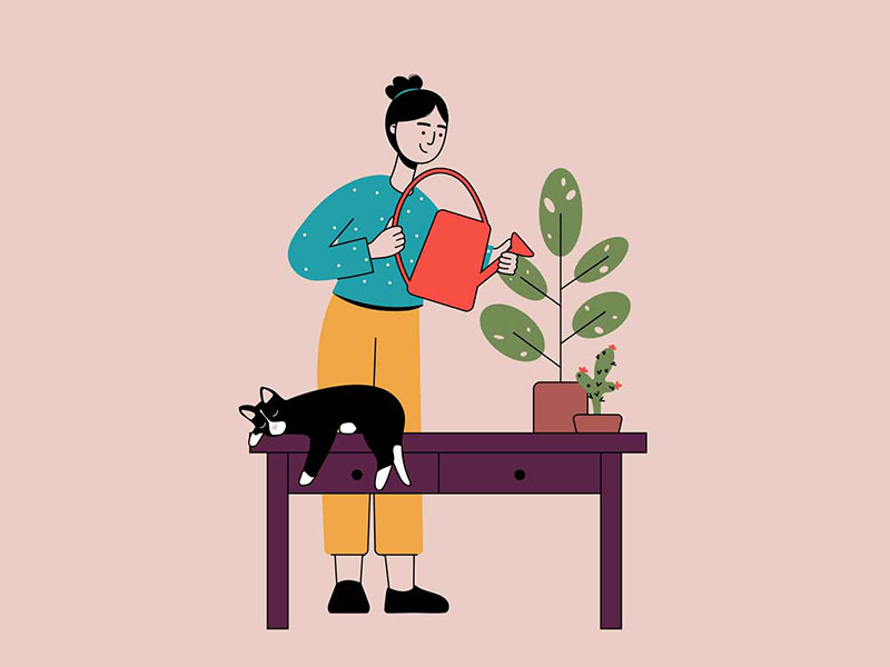 Free Plant Watering Illustration