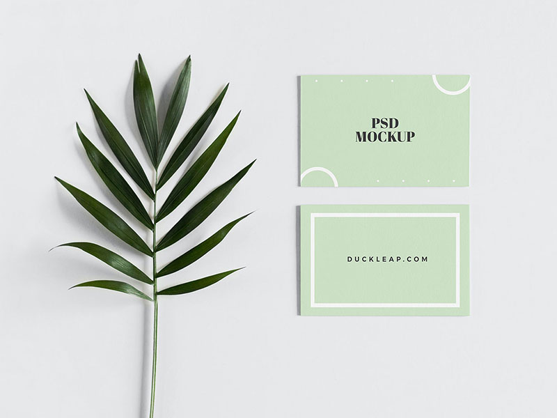 Free Minimal Front and Back Business Card Mockup