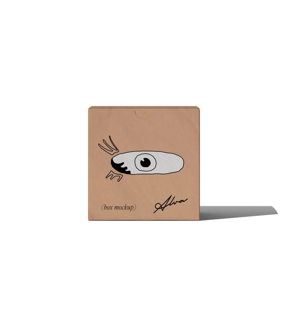 Cardboard Box Mockup V3 Front View | Mockup store