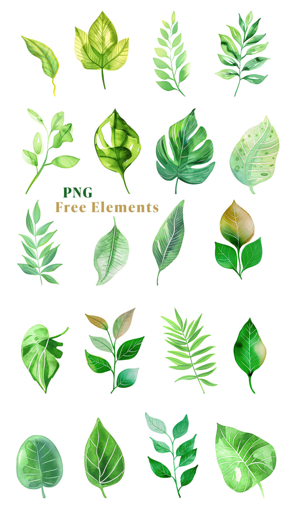 Watercolor Botanical Leaves PNG Clipart
