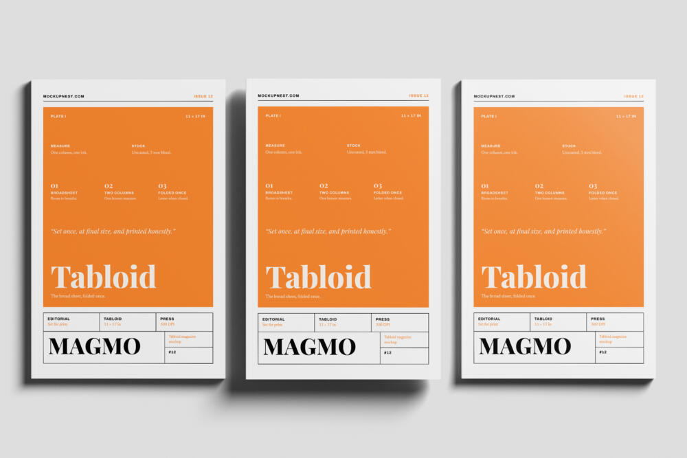 11x17 Print Magazine Mockup On Surface