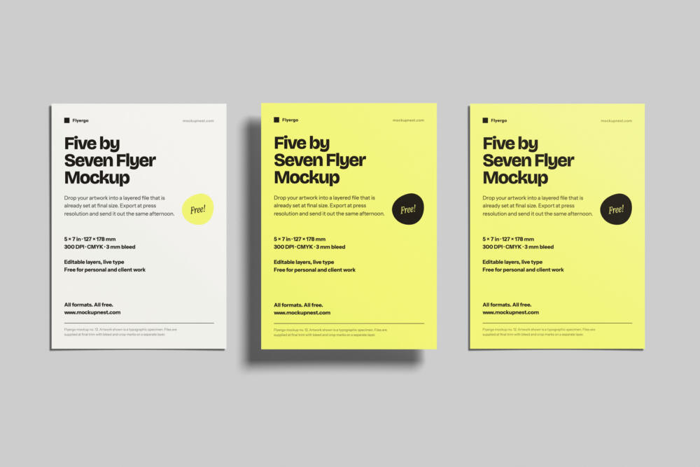 5x7 Leaflet Mockup On Wall