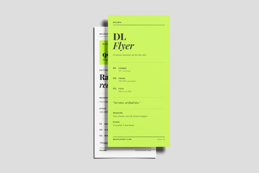 DL Handbill Mockup On Surface