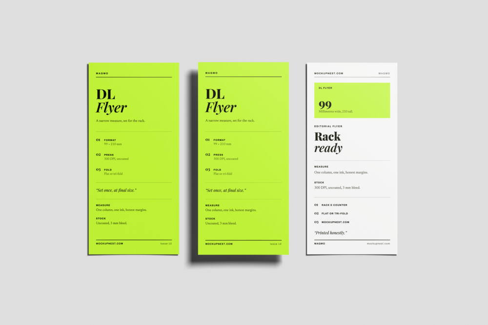 DL Pamphlet Mockup On Surface
