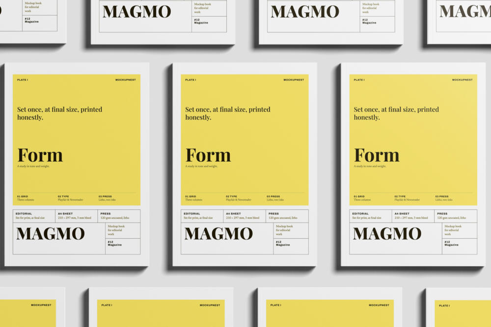 EU Magazine Mockup On Flat Surface