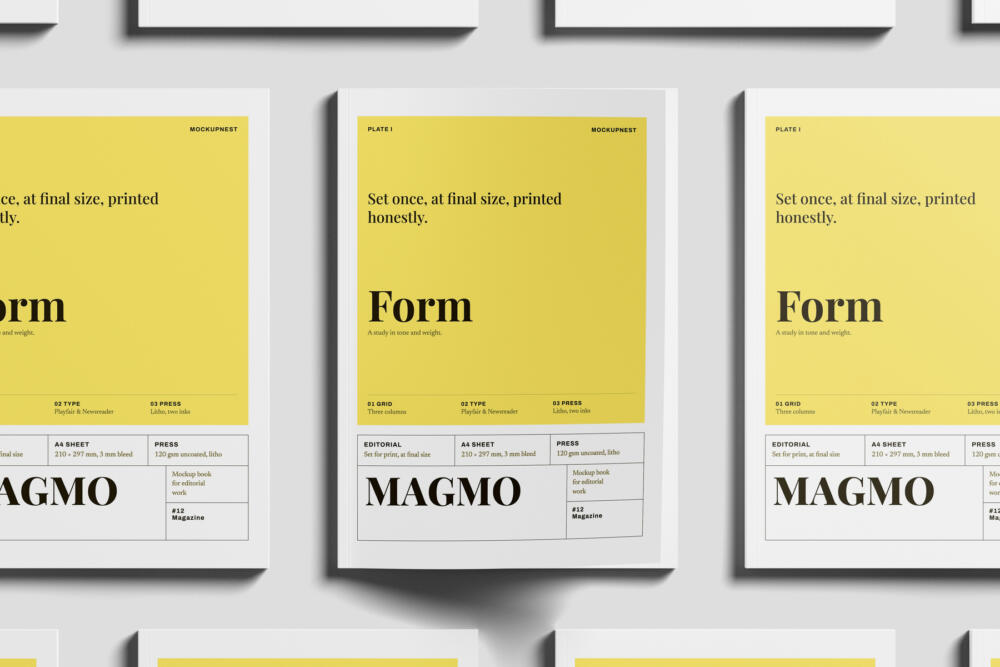 EU Magazine Mockup On Wall