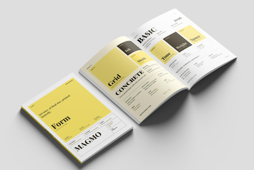 EU Magazine Mockup Scattered