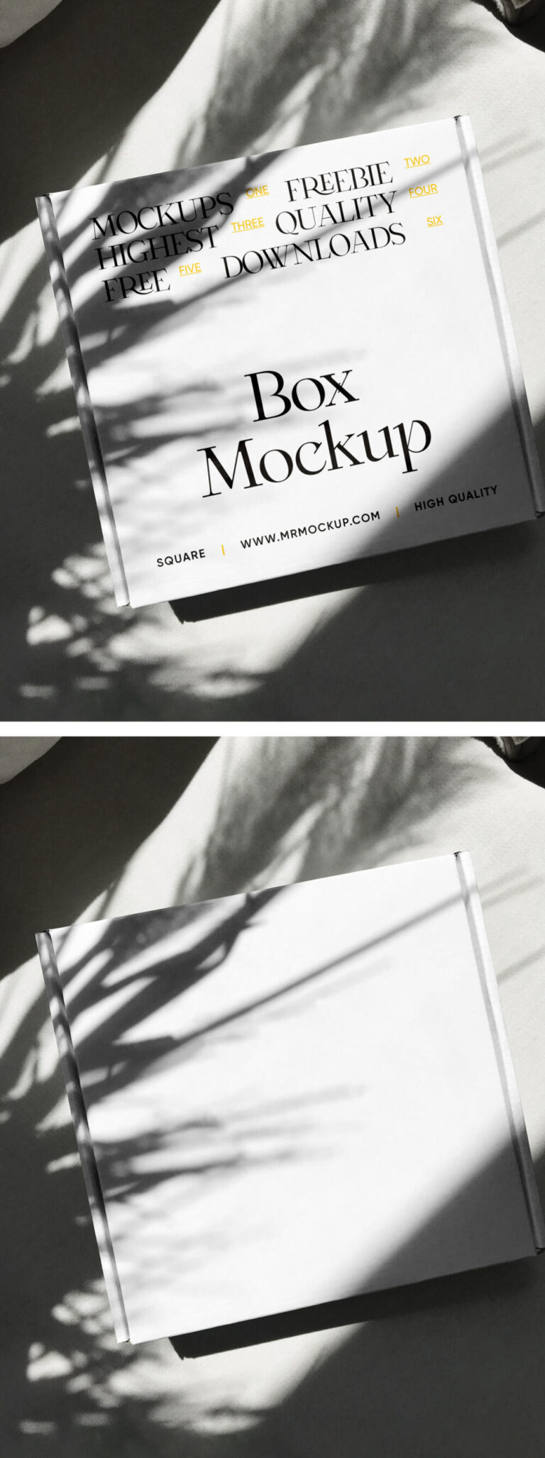 Square Package Mockup