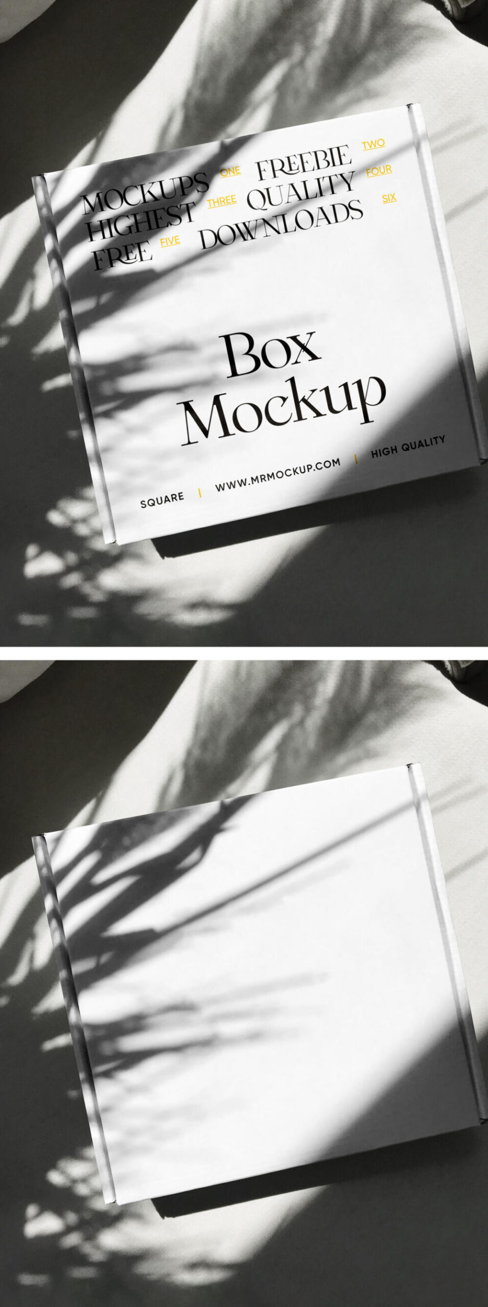Square Package Mockup